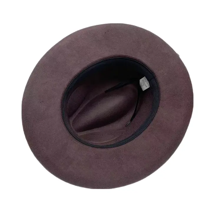 Steinbeck Feather Wool Fedora Hat
